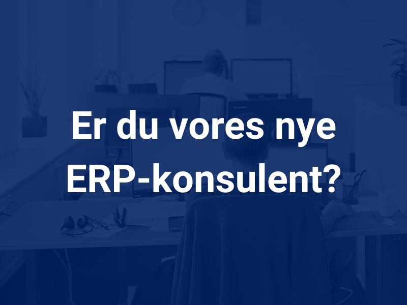 Er du vores nye ERP-konsulent?